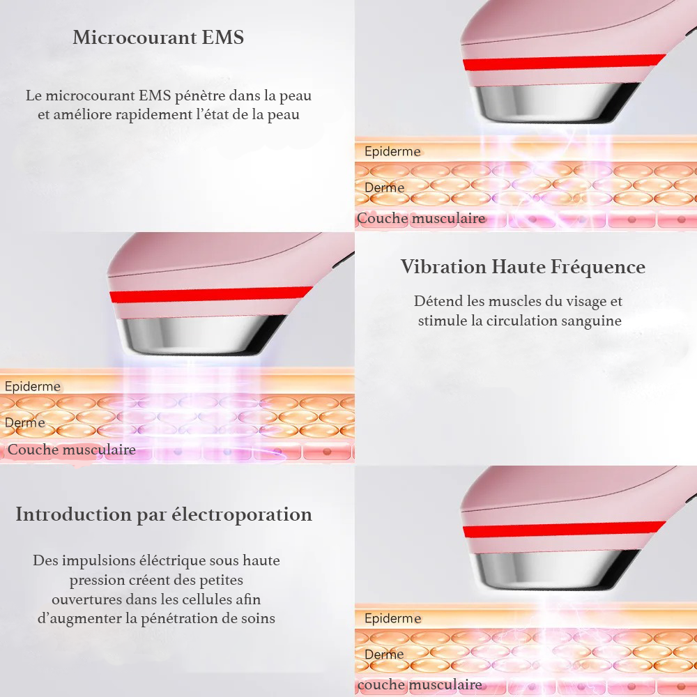 Appareil Facial 5‑en‑1 – LED Multicolore, EMS & Purification