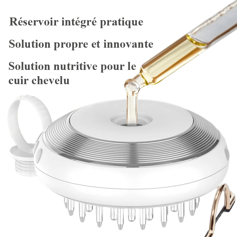 Brosse électrique EMS à micro-courant – Massage du cuir chevelu, stimulation capillaire, anti-chute et soin complet