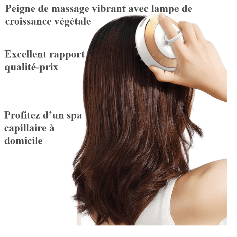 Brosse électrique EMS à micro-courant – Massage du cuir chevelu, stimulation capillaire, anti-chute et soin complet